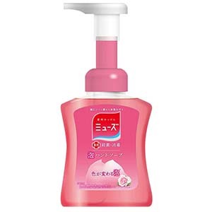 ミューズ 泡ハンドソープ 泡モイスト ２５０ｍｌ E健康ショップ