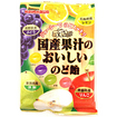 【軽】国産果汁のおいしいのど飴（９０ｇ）