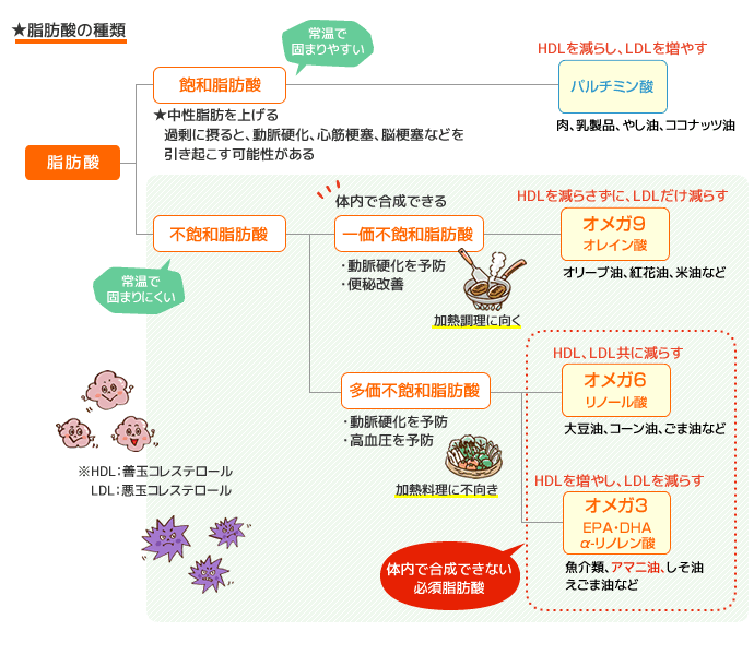 脂肪酸