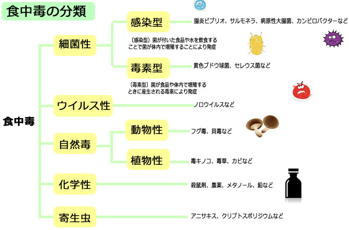 食の健康コラム 食中毒対策 E健康ショップ