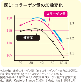 コラーゲン量