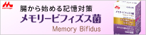 メモリービフィズス菌