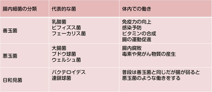 セルフメディケーション お腹のトラブルとくすり E健康ショップ