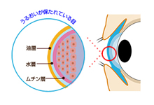 セルフメディケーション 目薬 E健康ショップ