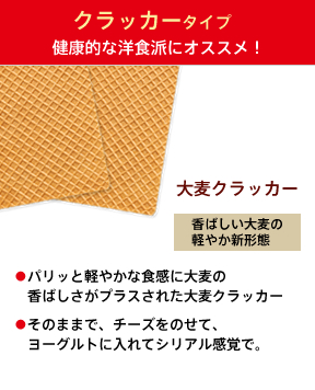 【大麦クラッカー】香ばしい大麦の軽やか新形態　大麦β-グルカン1,000mg（1袋）