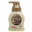 イソジン泡ハンドウォッシュ　２５０ｍＬ
