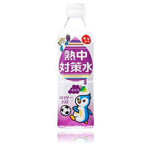 熱中対策水　ぶどう味（５００ｍＬ）