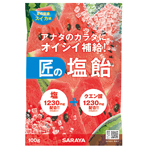 Gains 匠の塩飴 スイカ味（100g）