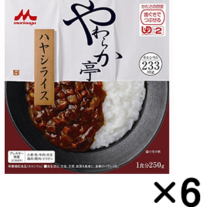 やわらか亭 ハヤシライス（250g×6個）